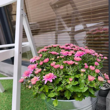 Lejlighed With Free Parking Varna